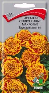 Бархатцы (Тагетес) откл. Двухцветный гигант 0,4г 30см (Поиск)