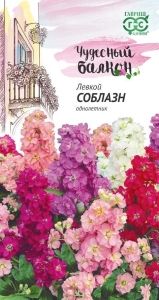 Левкой Соблазн 0,1г Одн 35см (Гавриш)
