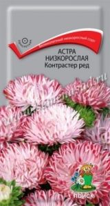 Астра Контрастер Ред низкорослая 0,1г Одн 25см (Поиск)