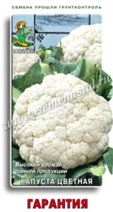 Капуста цветная Гарантия 0,5г Ранн (Поиск)