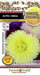 Астра Русский Размер ® II смесь 0,2г Одн 80см (НК)