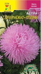 Астра Глория Нежно-розовая хризантемовидная 0,2г Одн 80см (Цвет сад)