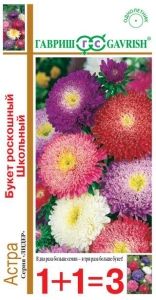 Астра Букет роскошный Школьный принцесса 0,5г Одн смесь 70см (Гавриш) 1+1