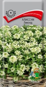 Алиссум Лимонад 0,3г Одн 10см (Поиск)