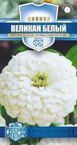 Цинния Великан Белый 0,3г Одн 90см (Гавриш) Русский богатырь