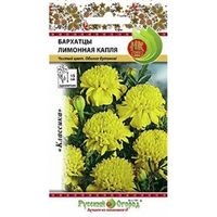 Бархатцы (Тагетес) откл. Лимонная капля 0,3г 15см (НК)