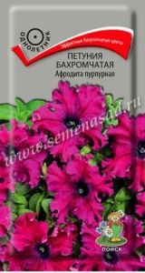 Петуния Афродита Пурпурная бахромчатая 10шт Одн 35см (Поиск)