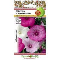 Лаватера Садовая роза 0,5г Одн смесь 100см (НК)