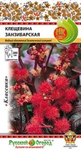 Клещевина Занзибарская 5шт Одн 200см (НК)