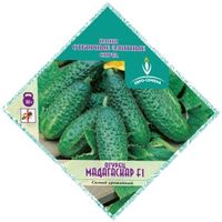 Огурец Мадагаскар F1 0,3г Парт Ранн (Евро-сем) Необычная упаковка