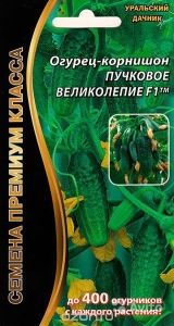 Огурец Пучковое Великолепие F1 корнишон 5шт Парт Ранн (УД)