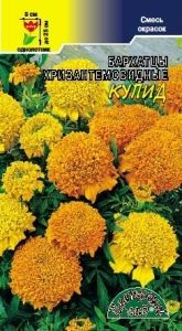 Бархатцы (Тагетес) откл. Купид 0.3г смесь 25см (Цвет сад)