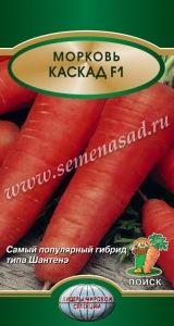 Морковь Каскад F1 0,5г Позд (Поиск)