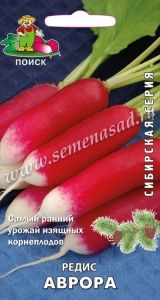 Редис Аврора 3г Ранн (Поиск) Сибирская серия