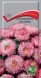 Астра Ред страйпед мацумото 0,3г Одн 65см (Поиск)