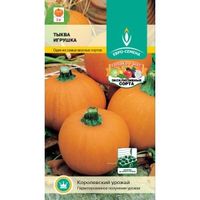 Тыква Игрушка 10шт Ср (Евро-сем)