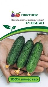 Огурец Бьерн F1 5шт Парт Ранн (Партнер)