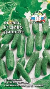 Огурец Диво Дивное F1 0,2 Парт Ранн (Седек)