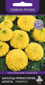 Бархатцы (Тагетес) пр. Антигуа Примроуз 15шт 30см (Поиск) Семена Профи