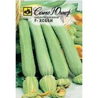 Кабачок Хобби F1 цукини 6шт Ранн (Семко)