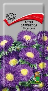 Астра Баронесса Пурпурная 0,3г Одн 65см (Поиск)