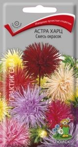 Астра Харц Смесь окрасок тонкоигольчая 0,3г Одн смесь 75см (Поиск)