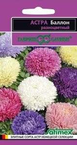 Астра Баллон Разноцветный шаровидная 0,1г Одн 60см (Гавриш) Эксклюзив