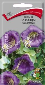 Кобея Фиолетовая лазающая 5шт Одн 300см (Поиск)