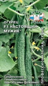 Огурец Настоящий мужик F1 0,2г Пч Ср (Седек)