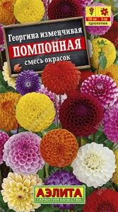 Георгина Помпонная изменчивая 0.3г Одн смесь 120см (Аэлита)