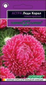 Астра Леди Корал Темно-красная розовидная 0,1г Одн 70см (Гавриш) Эксклюзив