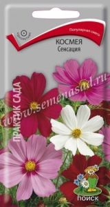 Космея Сенсация 0,3г Одн 90см (Поиск)