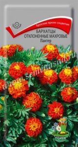 Бархатцы (Тагетес) откл. Пантер 0,2г 30см (Поиск)