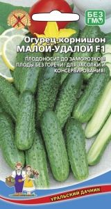 Огурец Малой Удалой F1 корнишон 10шт Парт Ранн (УД)