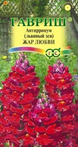 Львиный зев Жар любви 0,1г Одн 90см (Гавриш)