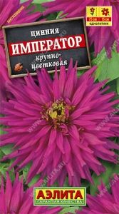 Цинния Император кактусовидная крупноцветковая 0.3г Одн 75см (Аэлита)
