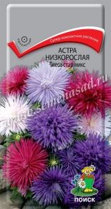 Астра Тиеса стар микс низкорослая игольчатая 0,2г Одн смесь 15см (Поиск)