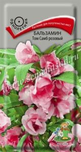 Бальзамин Том Самб Розовый 0,1г Одн 40см (Поиск)