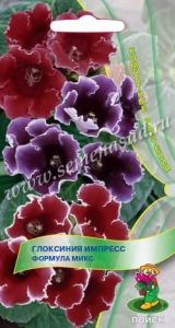 Глоксиния Импресс Формула микс 5шт Комн (Поиск)