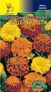Бархатцы (Тагетес) откл. Поцелуй лета 0.2г смесь 30-35см (Цвет сад)