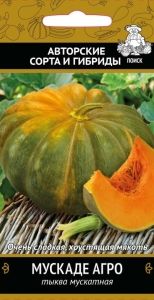Тыква Мускаде Агро мускатная 10шт Позд (Поиск)