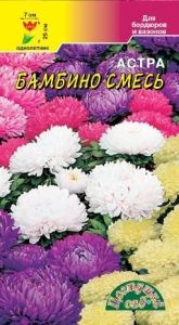 Астра Бамбино низкорослая 0.2г Одн смесь 25см (Цвет сад)