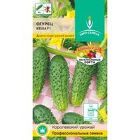 Огурец Кеша F1 0,25г Парт Ранн (Евро-сем)