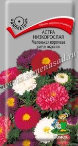 Астра Маленькая королева смесь окрасок низкорослая 0,1г Одн смесь 25см (Поиск)