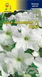 Петуния Ниагара Белая F1 суперкаскадная крупноцветковая 10шт Одн 55см (Цвет сад)