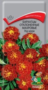 Бархатцы (Тагетес) откл. Ред Черри 0,3г 30см (Поиск)