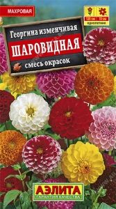 Георгина Шаровидная изменчивая Одн смесь 120см (Аэлита)