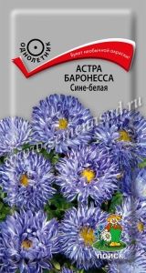 Астра Баронесса Сине-белая 0,3г Одн 65см (Поиск)