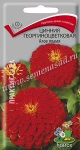 Цинния Алое пламя георгиноцветковая 0,4г Одн 80см (Поиск)