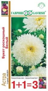 Астра Букет роскошный Белый принцесса 0.5г Одн 70см (Гавриш) 1+1